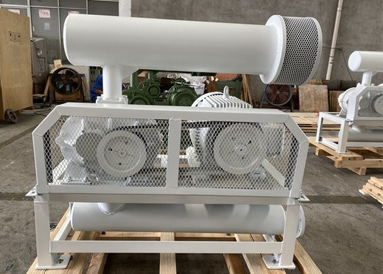 10-80Kpa PRM1500-2200 DN50 Трехлопастный корневой вентилятор для очистки воды
