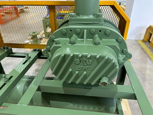 11kw 5.1m3/Min 60kpa укореняет роторную воздуходувку 1750 Rpm Dn65 3" лепестка небольшая емкость