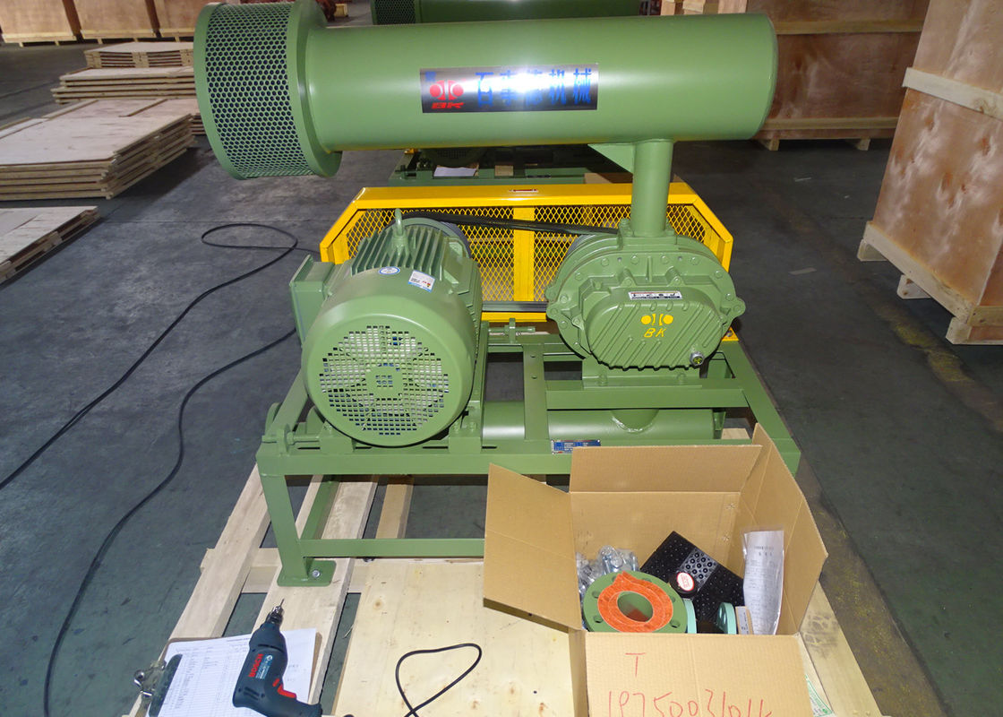 11kw 5.1m3/Min 60kpa укореняет роторную воздуходувку 1750 Rpm Dn65 3" лепестка небольшая емкость