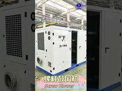 BLG винтовый корневой вентилятор